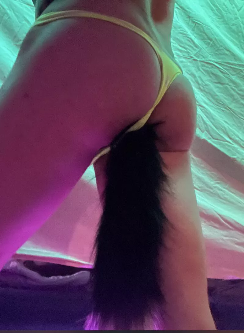 Nothing makes me feel sexier & hornier than my tail🦊
