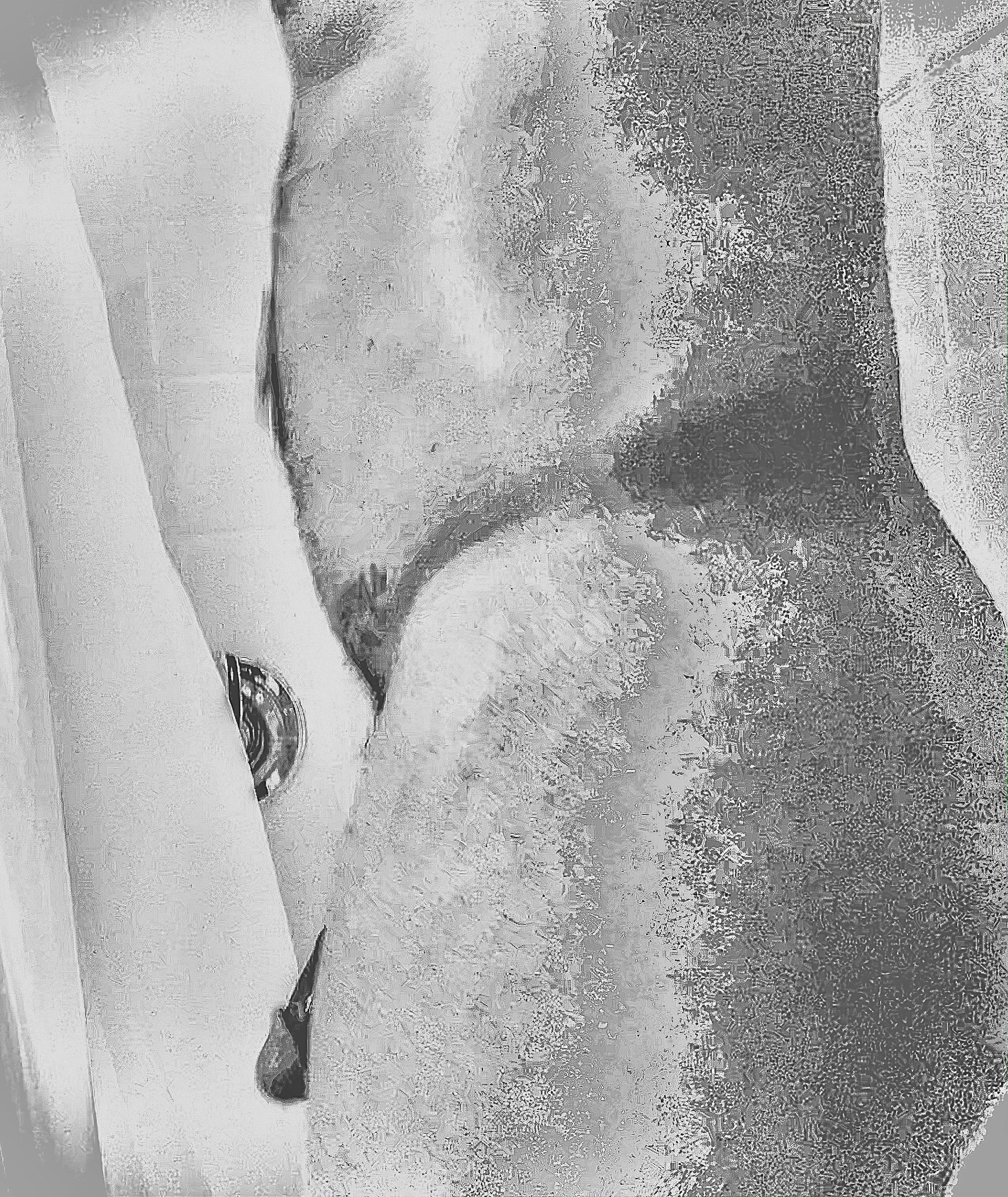 Now We Glance Into a New Year