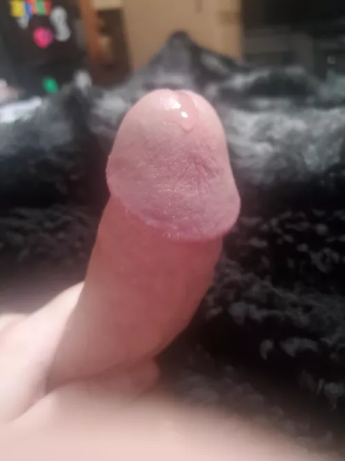 (Nsfw) started leaking a little who wants to lick it up for me?