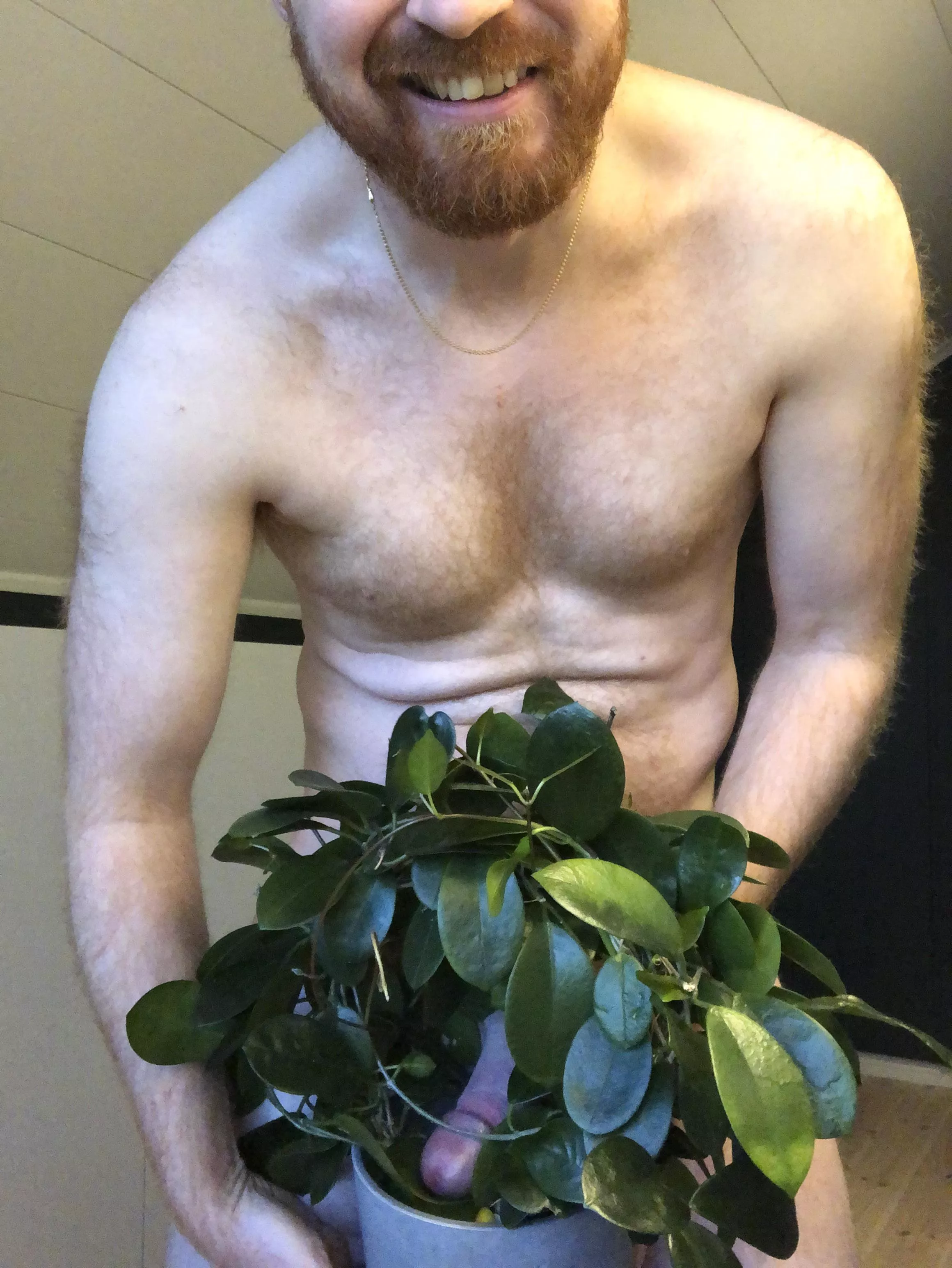 Oh no, there’s a snake in my plant! [36]