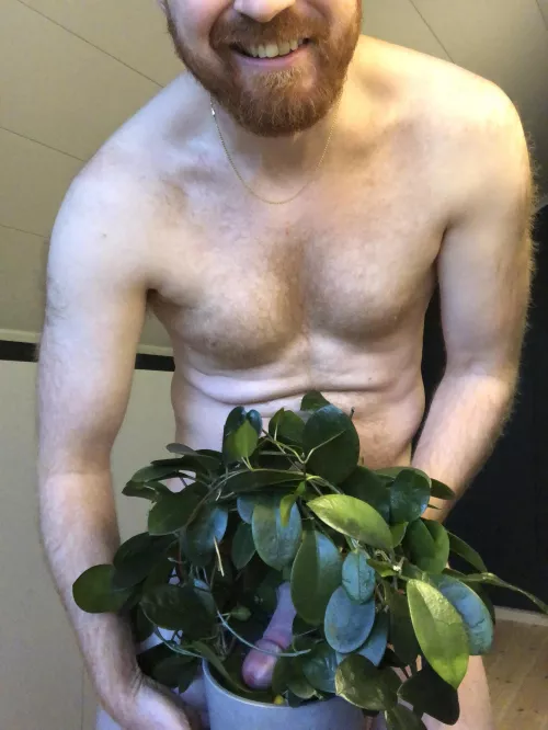 Oh no, there’s a snake in my plant!