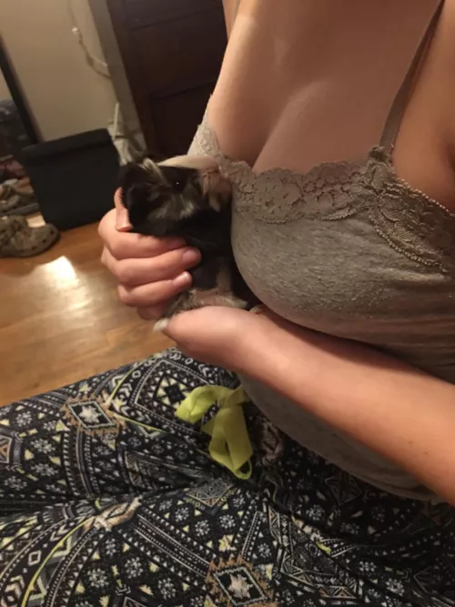 Oh, to be a guinea pig…