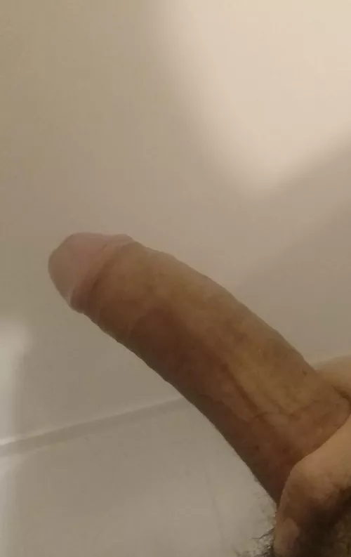 Ok I’m hard again. You know the deal… come suck