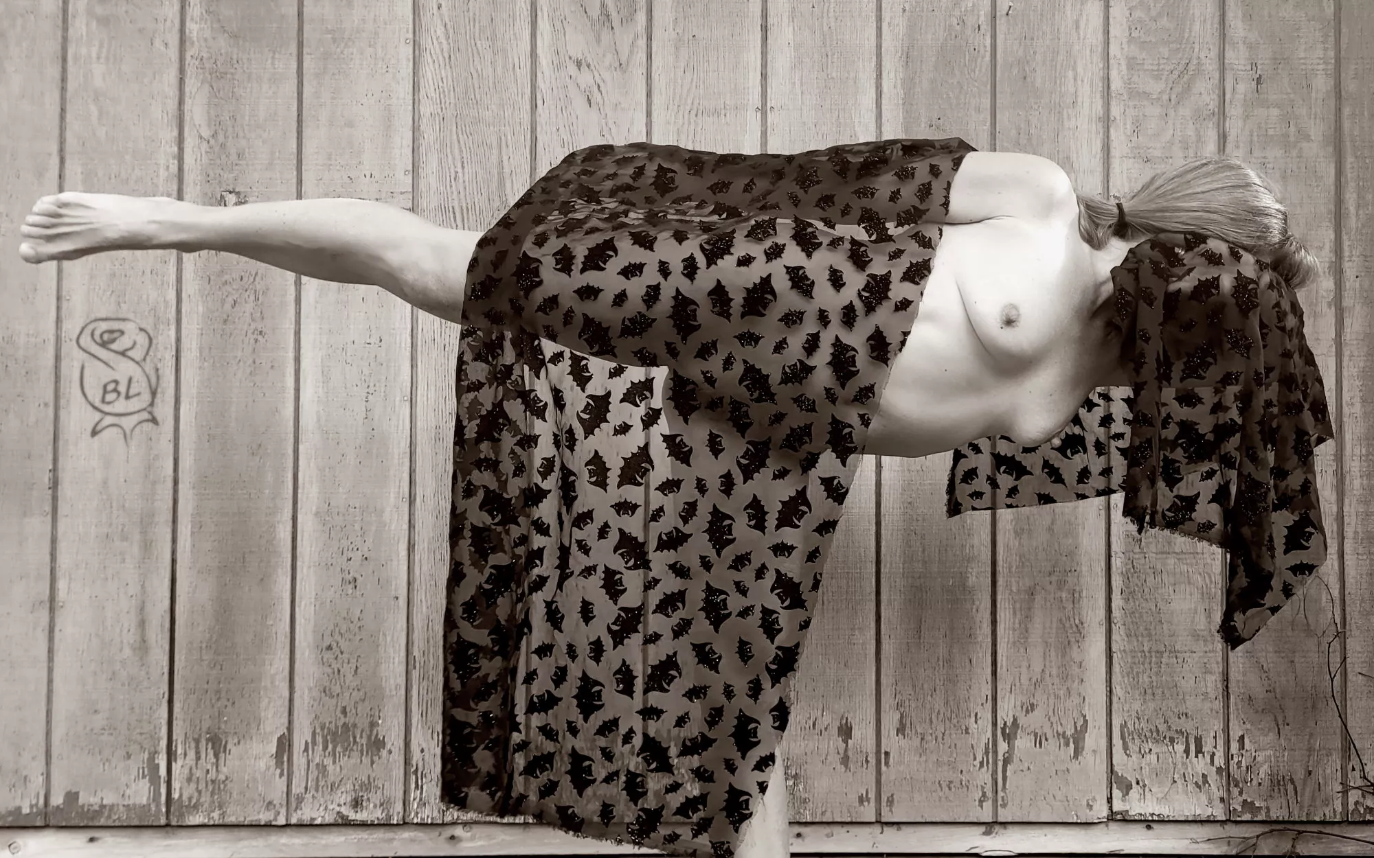 Old Bat Warrior 🦇