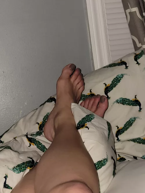 Old but not forgotten! These babies have carried me for 42 years....