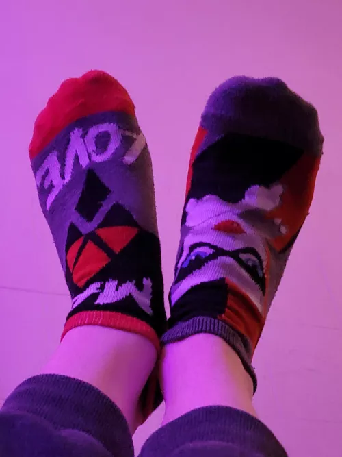 Old Harley Quinn socks ♦️