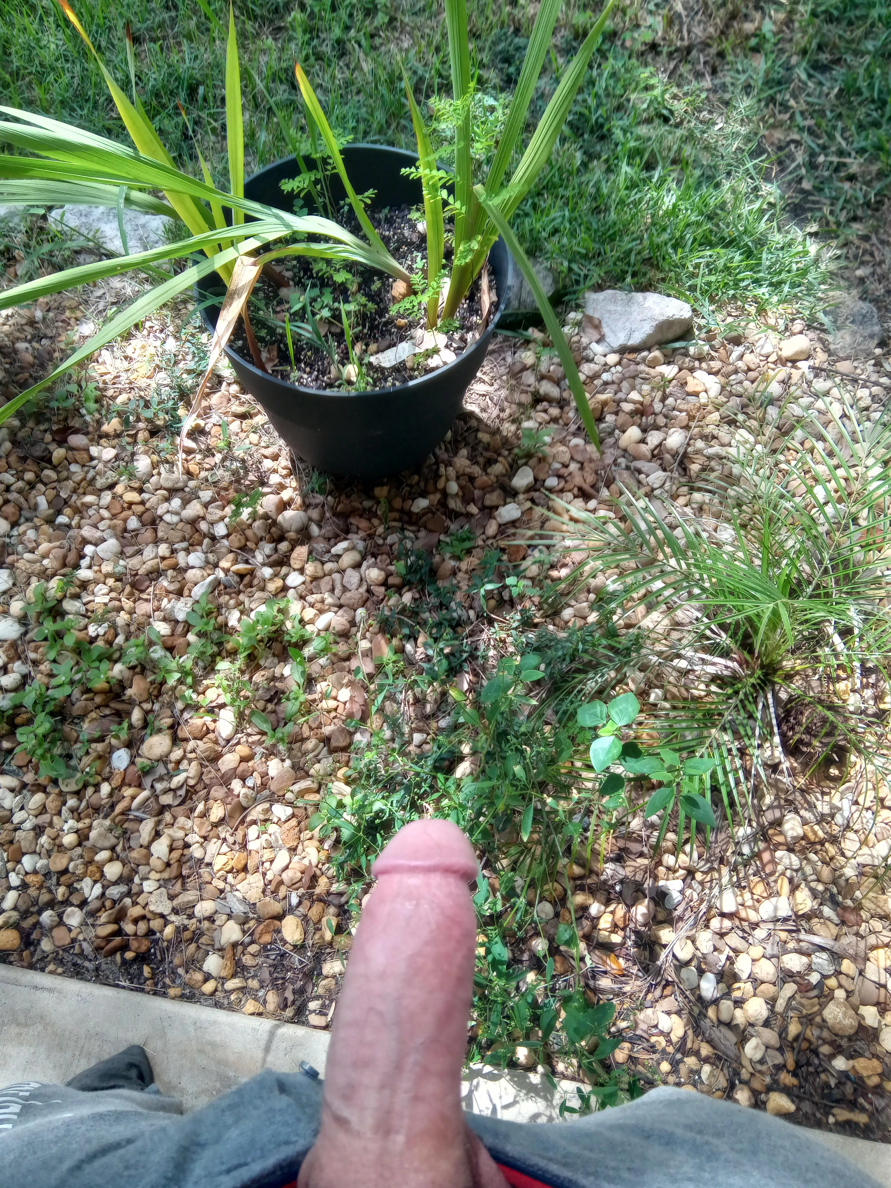 On a scale of one to ten, how would you rate my plants😉😉😉 On a scale of one to ten, how would you rate my plants😉😉😉