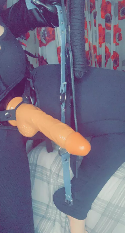 On your knees for me [domme]