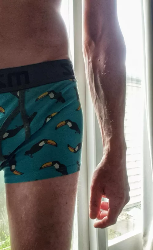 One orgasm might not satisfy you, but toucan