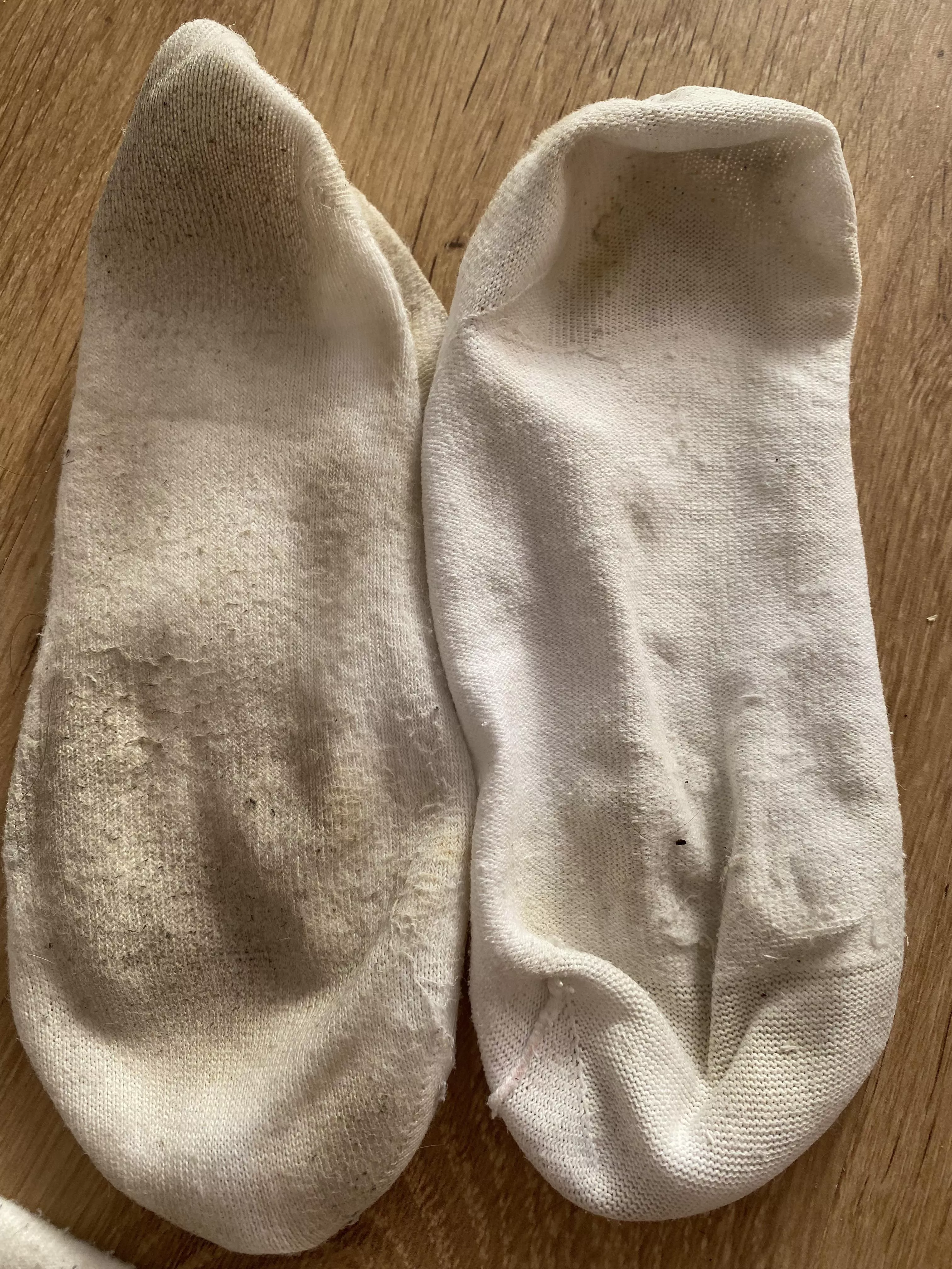 One outside view, and one inside view. Day 2, they got very sweaty today π Love Mia x One outside view, and one inside view. Day 2, they got very sweaty today π Love Mia x