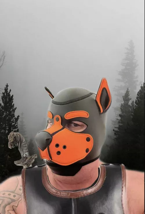 Only fans 1/2off promotion 🐶🧡 link is in comments