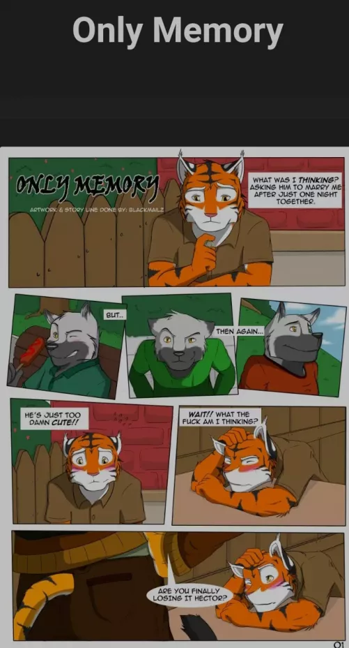 Only memory [MM] link in desc