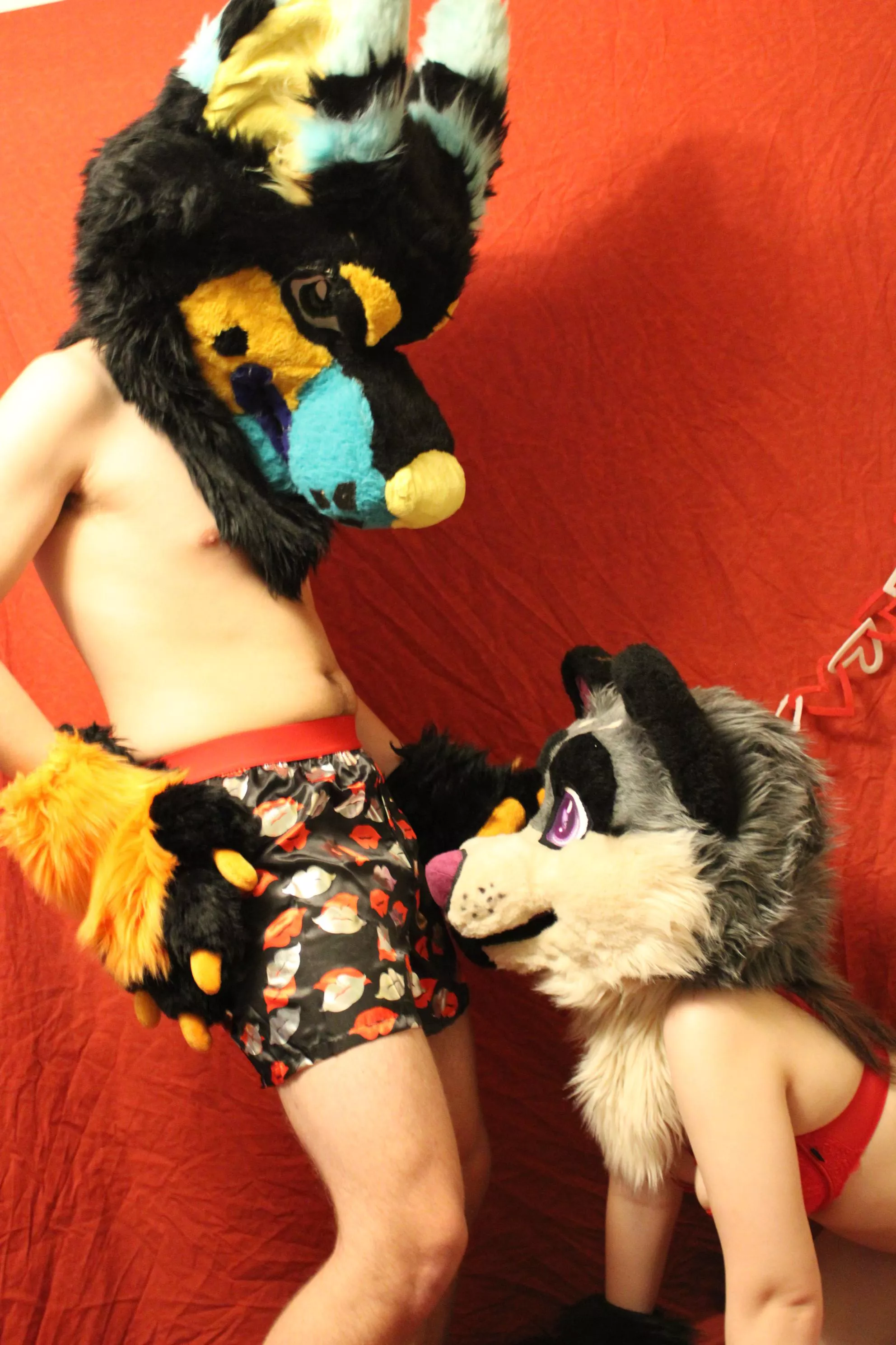 Oops looks like your 2 favorite murrsuiters are back~ (@SinfulSolas)