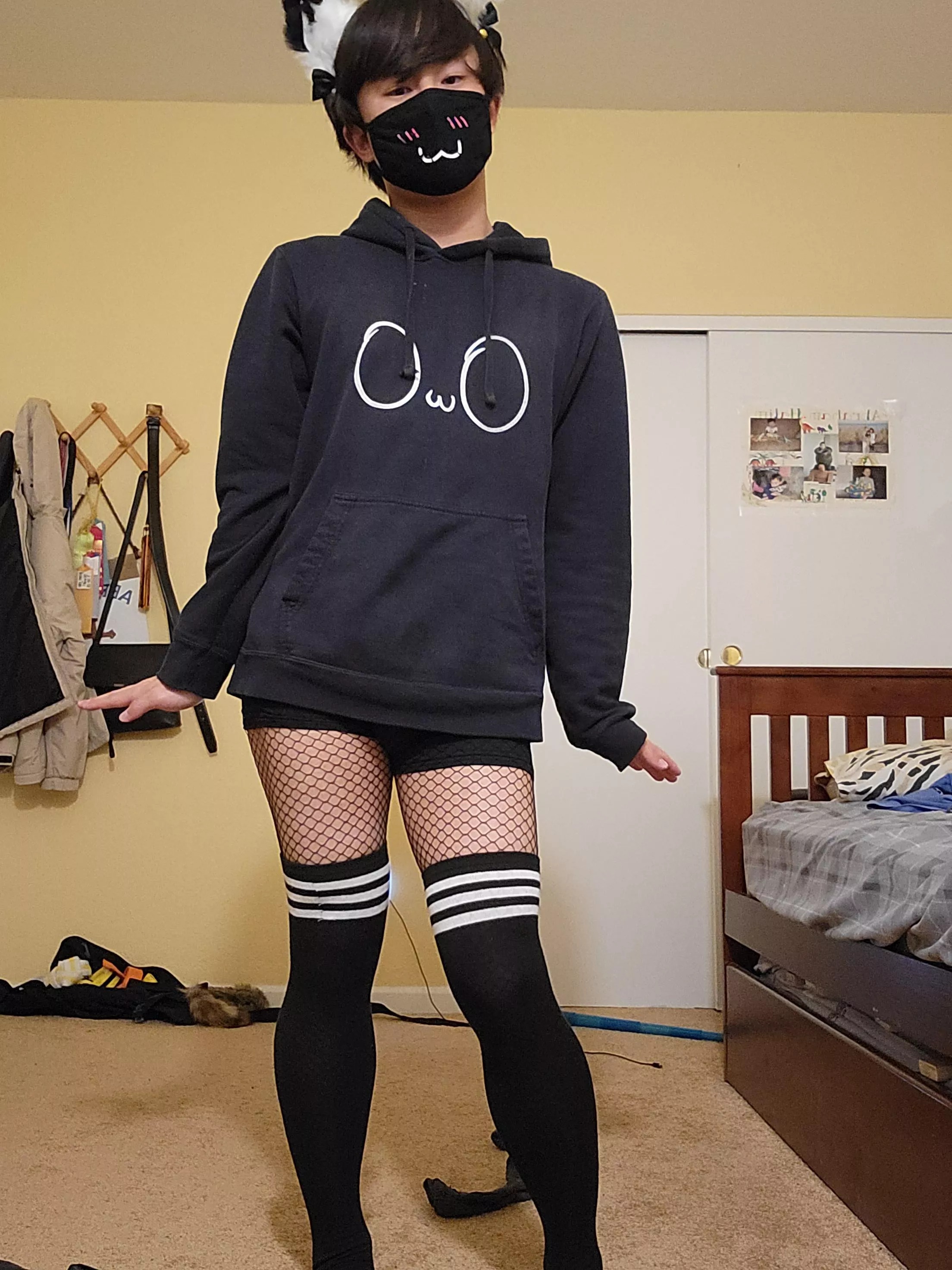 OwO what's this? :3c