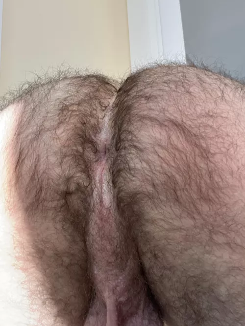 Partial eclipse of my moon