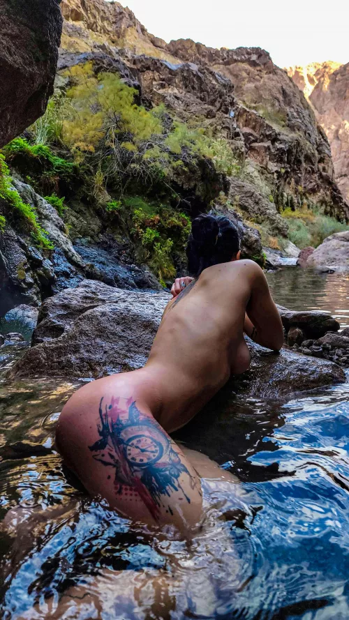 Peak winter in a Southern Nevada Hot Spring