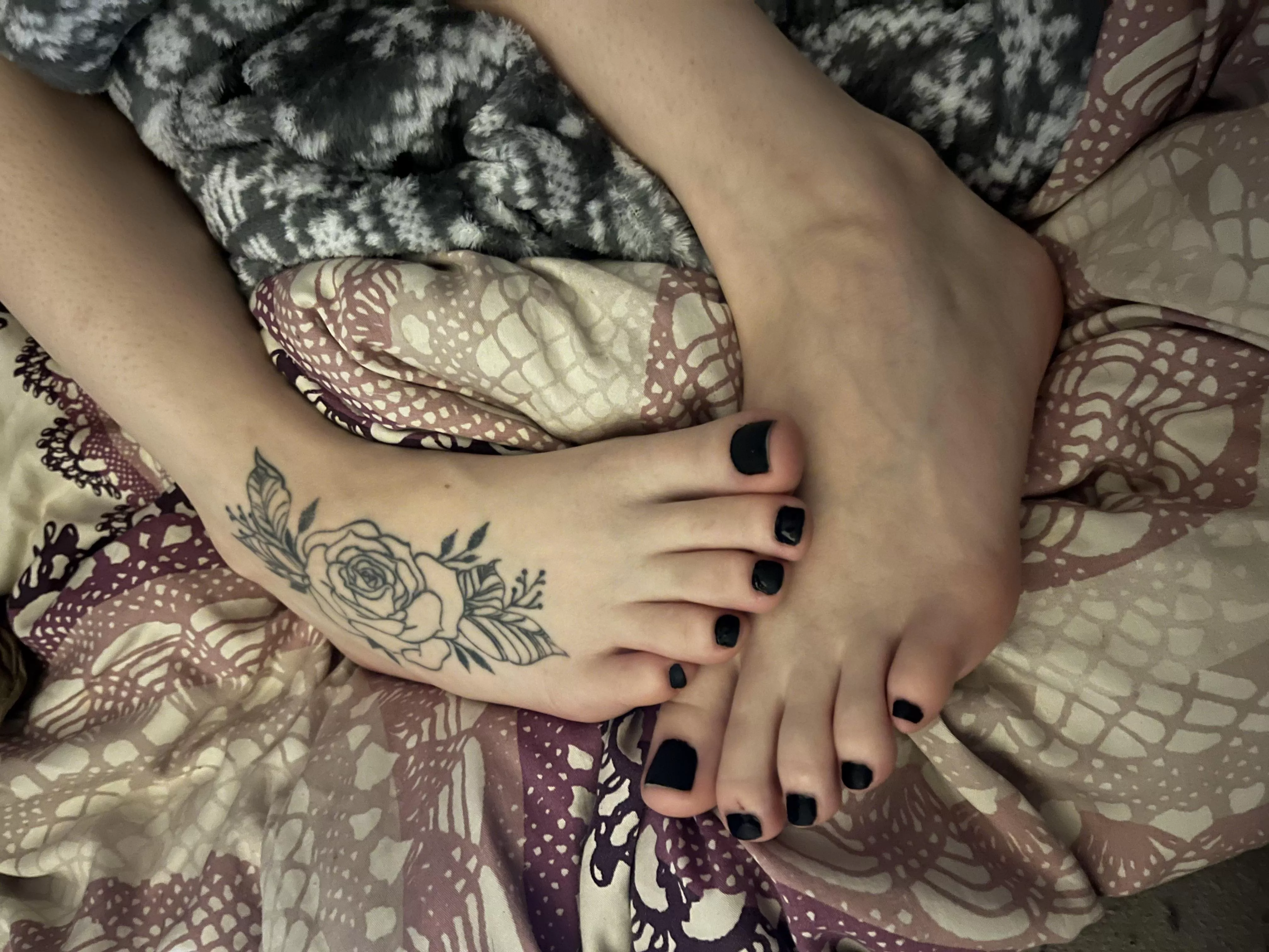 Peekaboo! Someone come play with me ;) [f]