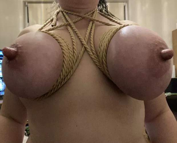 Pentagram harness with bound tits and nipple suction