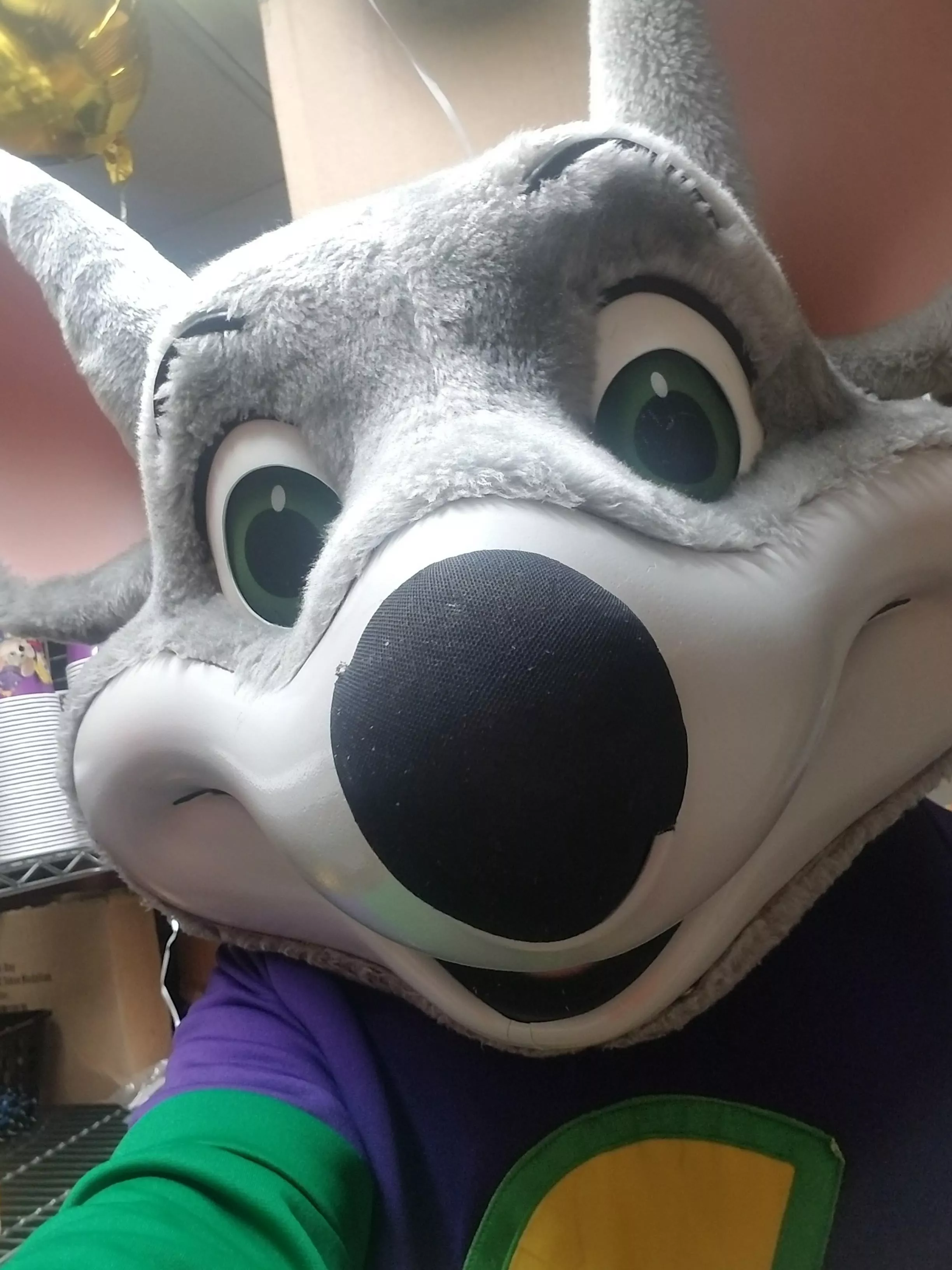 Perks of being a furry I love my job