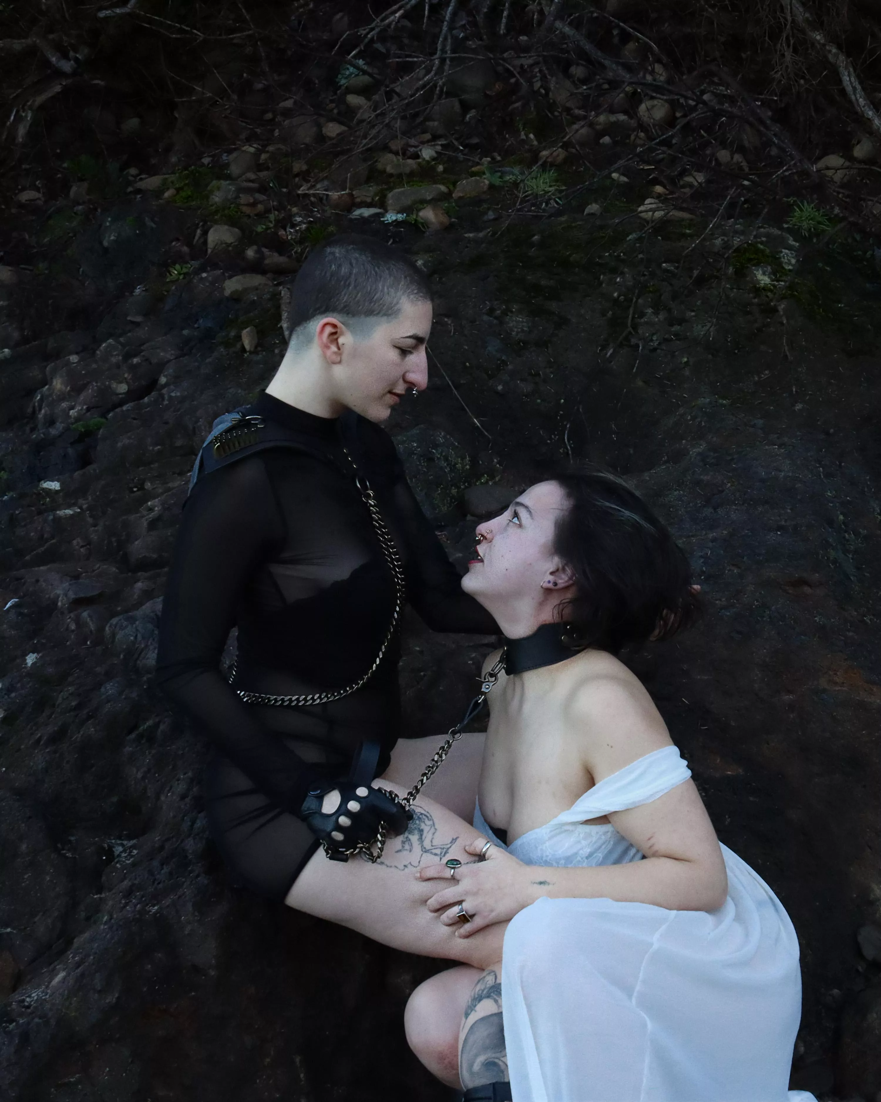 Pet in a posture collar 🥰❤️‍🔥