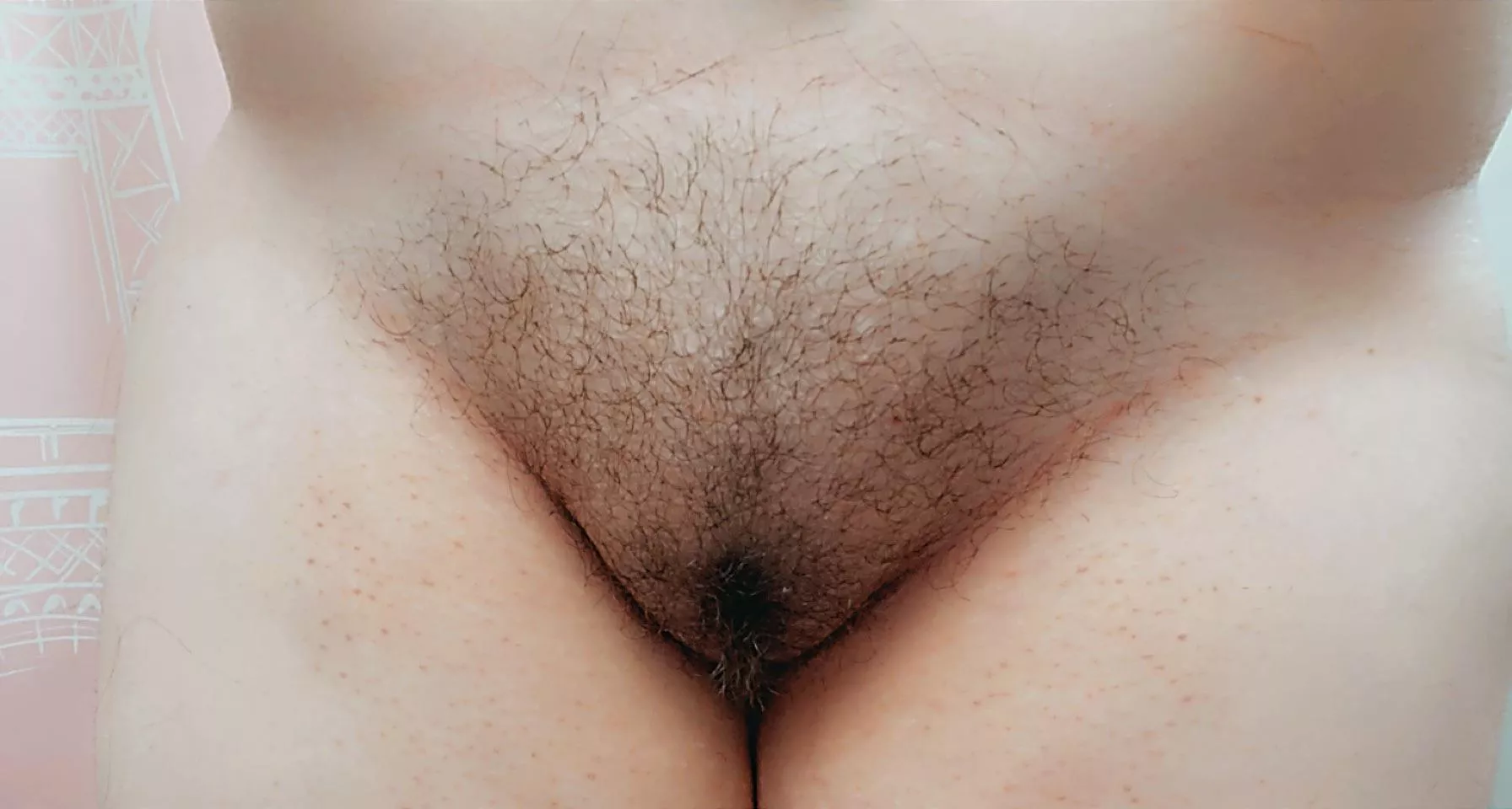 pet my hairy kitty? 🐈✨