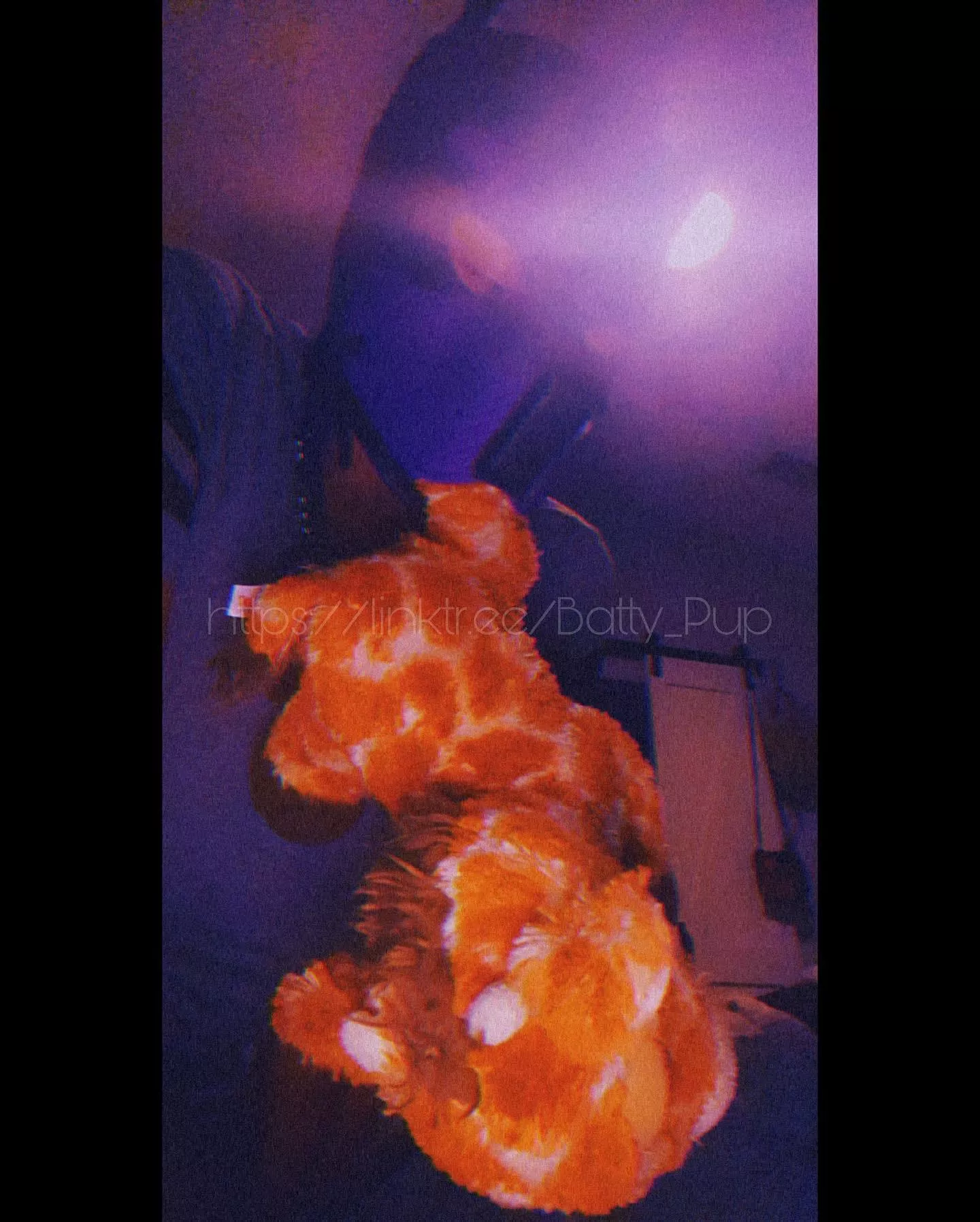 Pet play anyone 😈😈🖤🖤