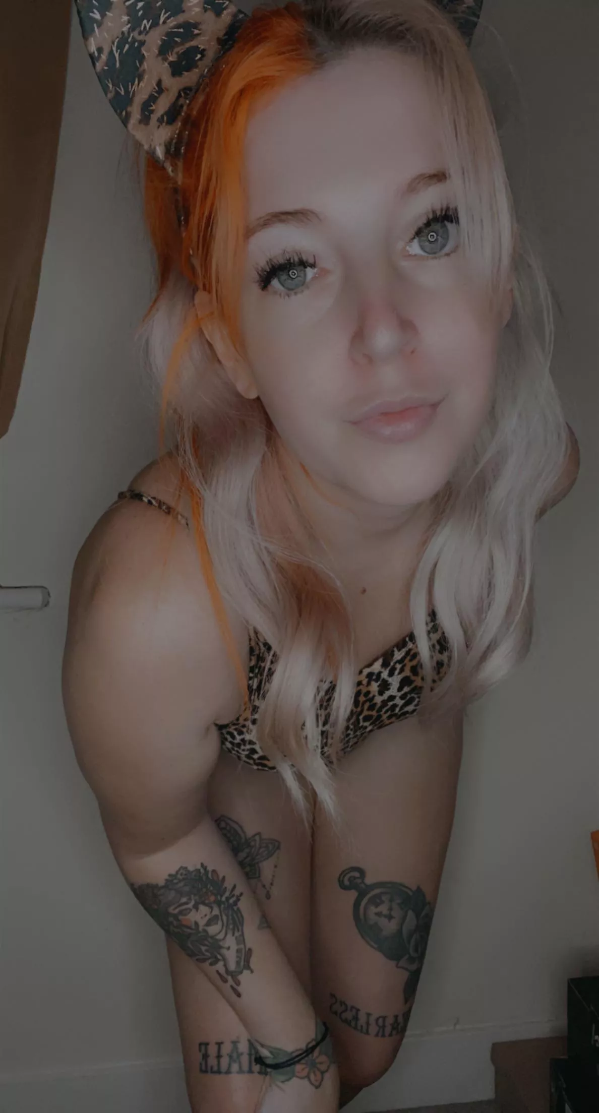 Petite pocket rocket with cute little tits & very spankable ass. $10 a month including nudes, 1:1 messaging. Additional rates for sexting, dick rates, GFE. Come keep me company. I’m a very sociable bunny.