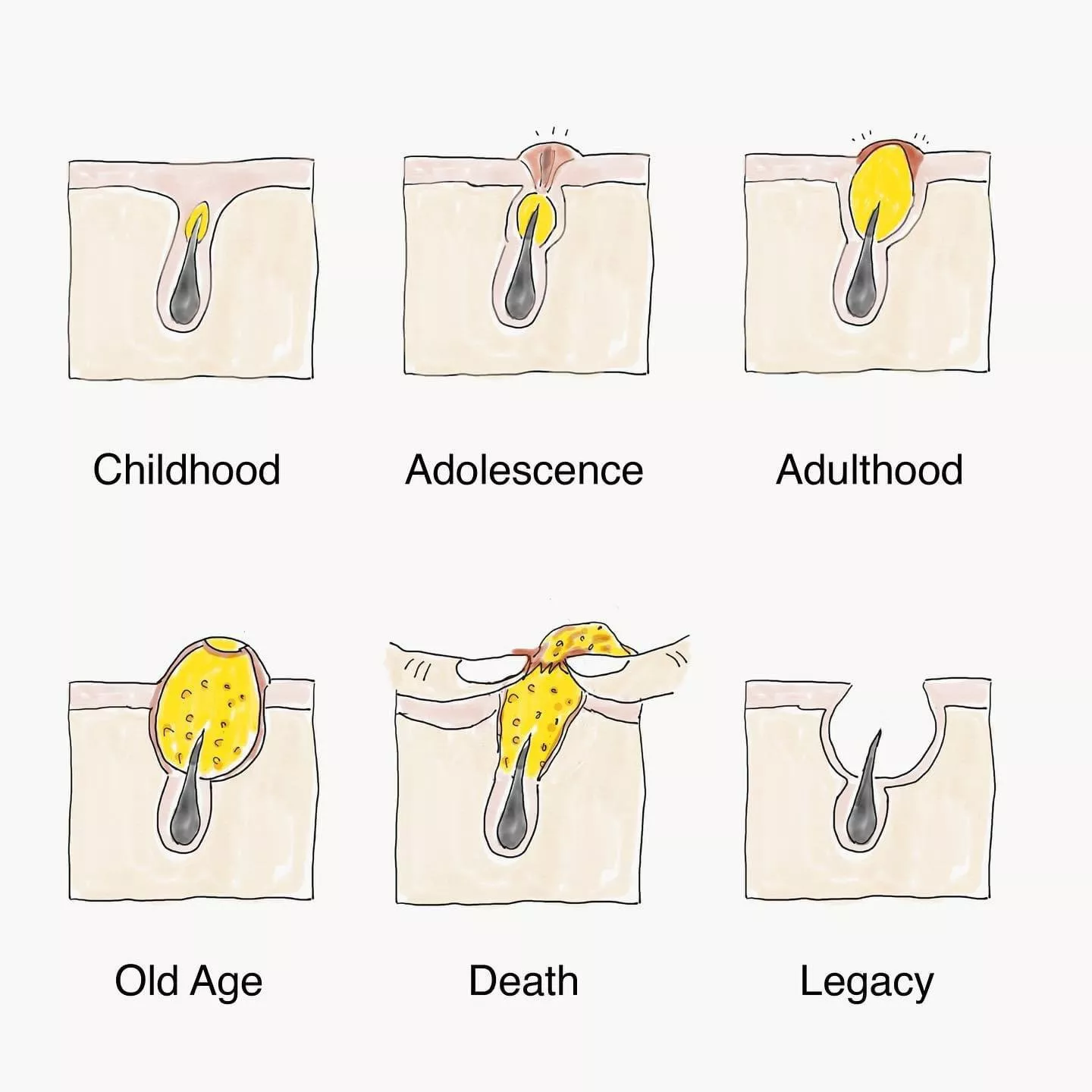 Photo credit: Adult Swim