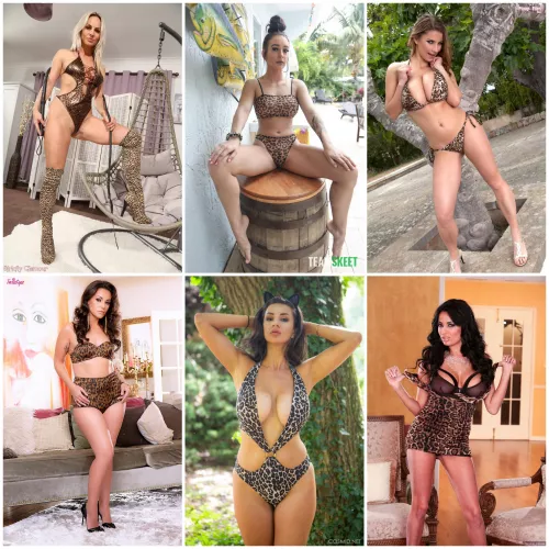 Pick your purring leopard 🐆