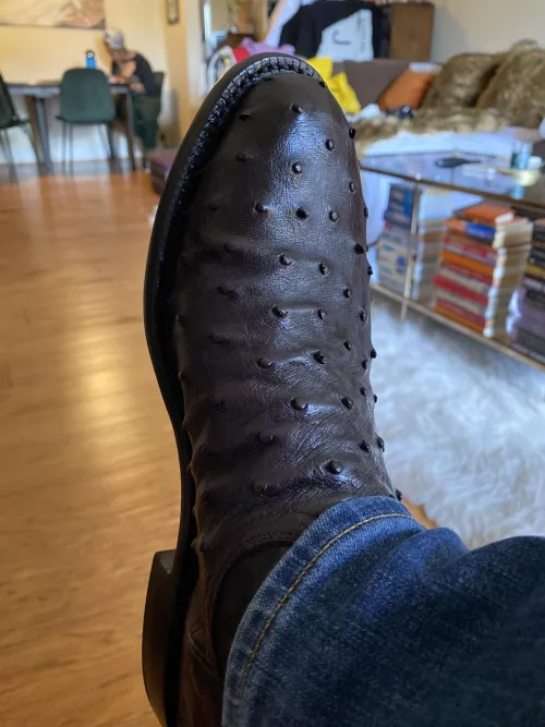 Picked up some new Luccs