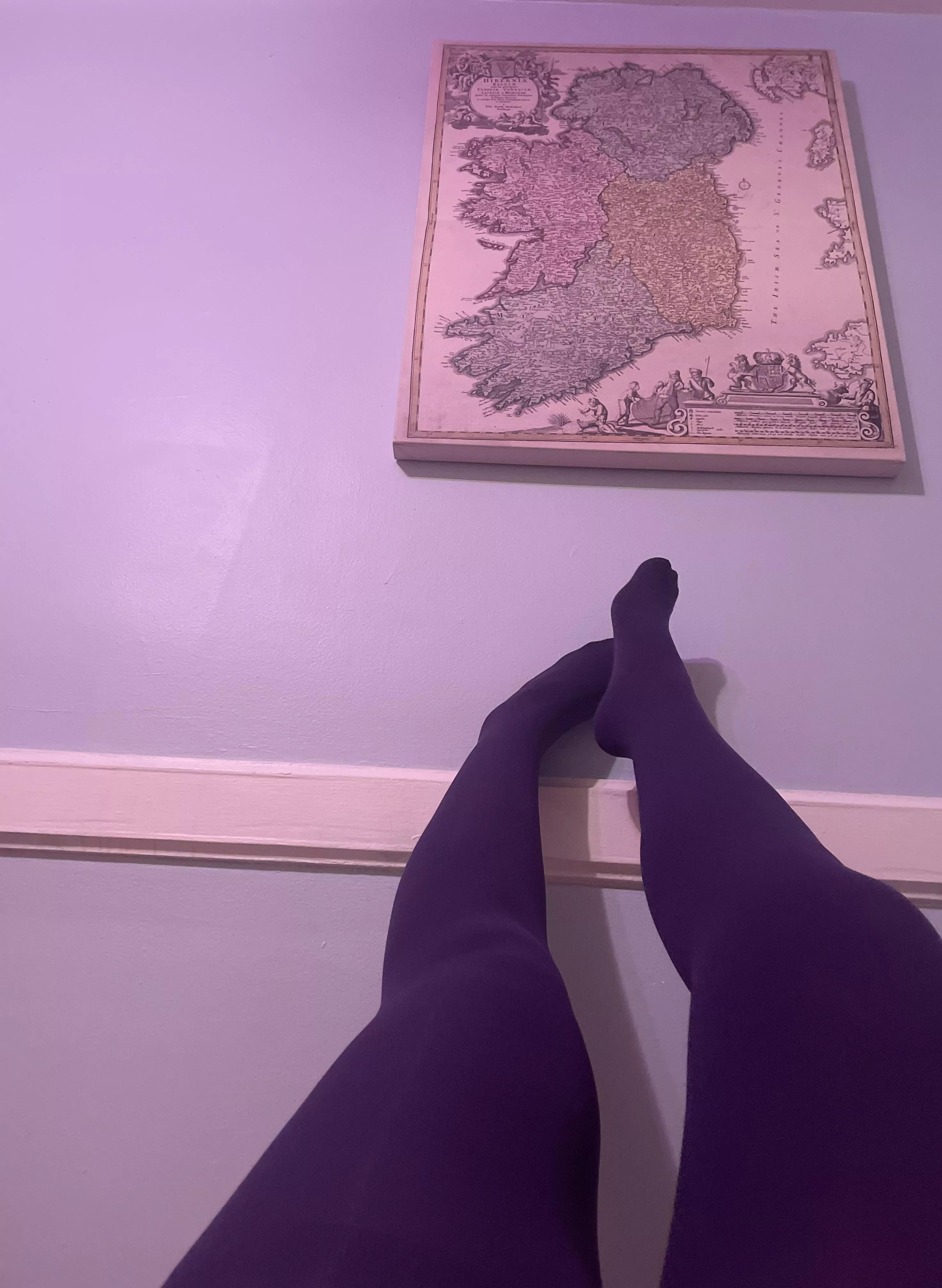 Pink Lights & Purple Tights