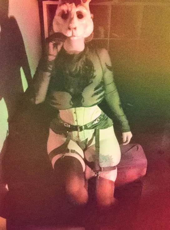 playboy bunny? I guess here's the bunny, let's play :3