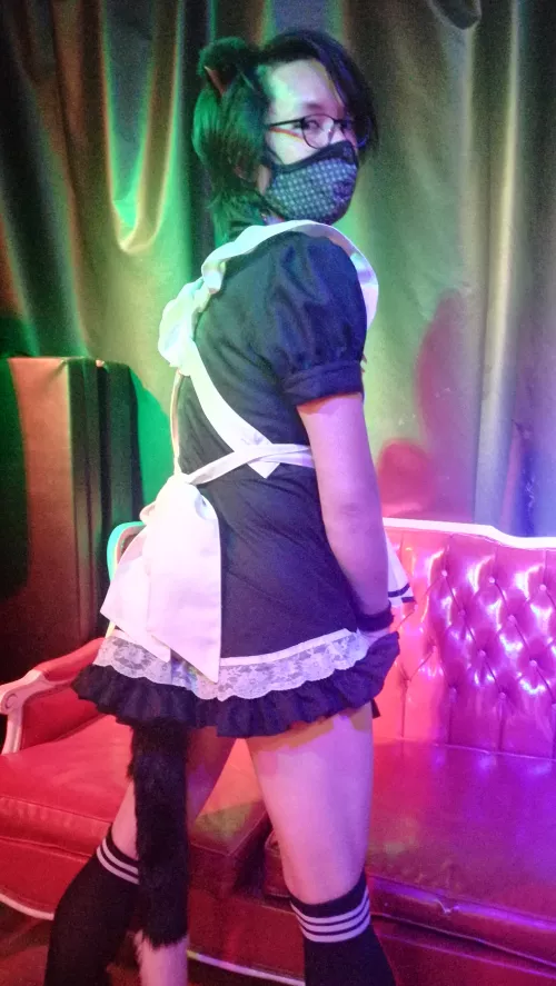 Playful catboy maid