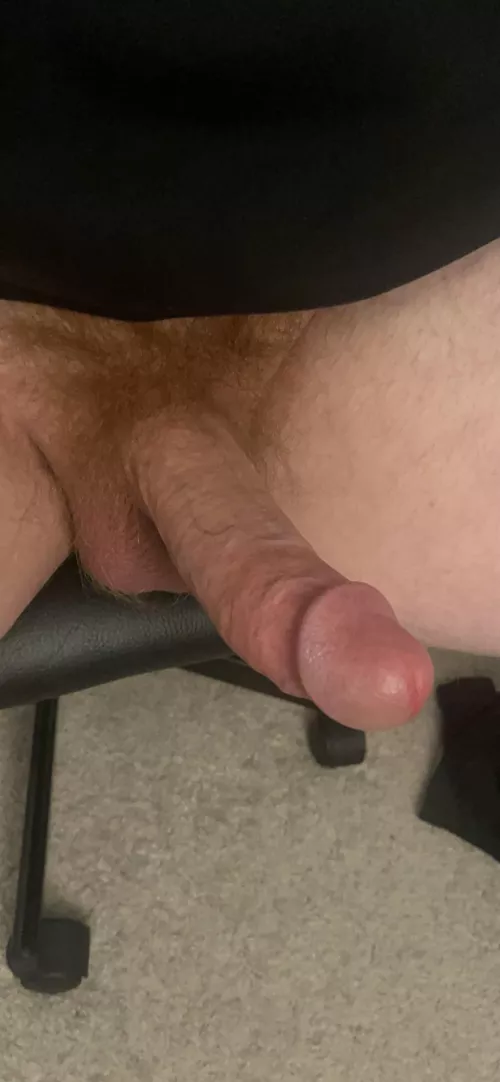 Playing with my ginger cock tonight 😜 DMs welcome!