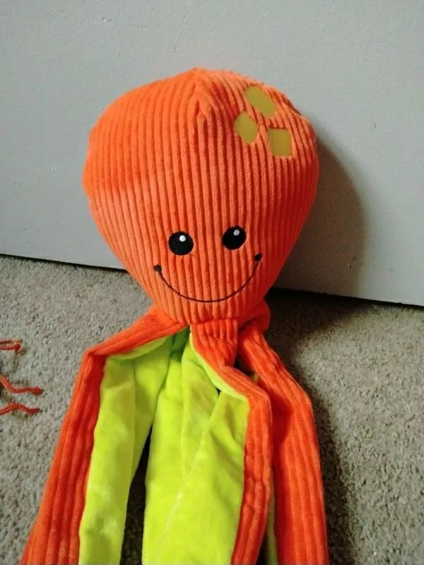 playing with Ollie octopus 🐙