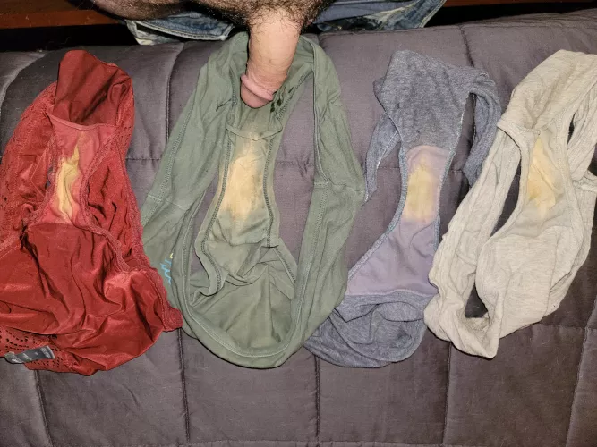 Playtime with wife's dirty panties