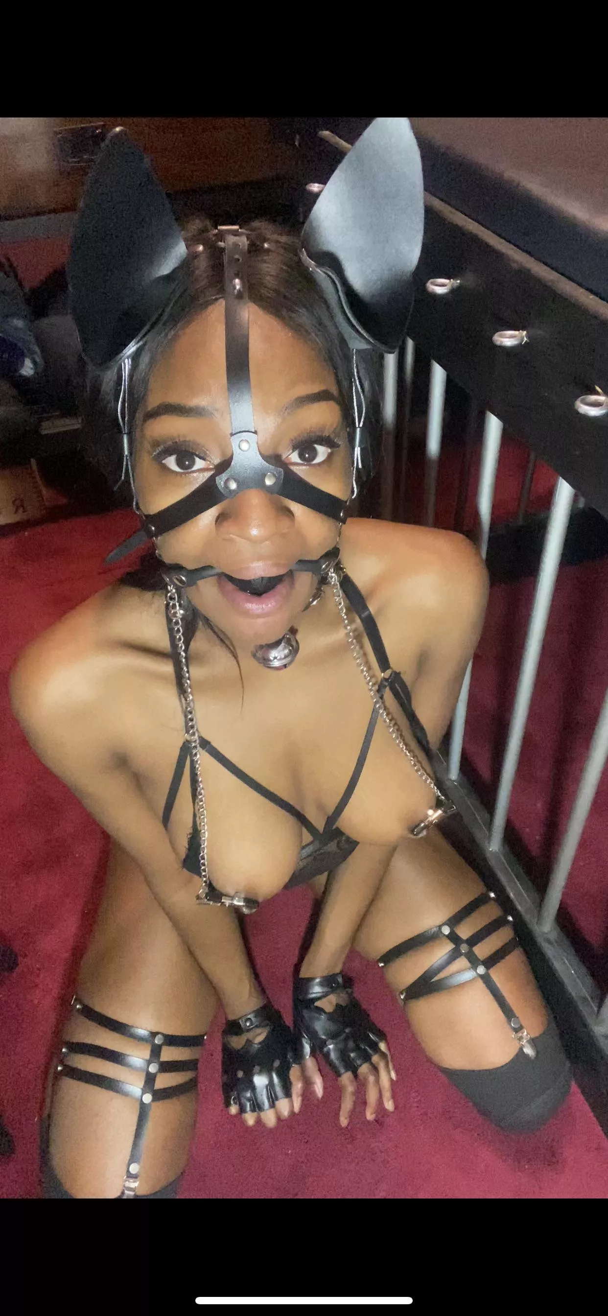 Please be gentle 🥺….