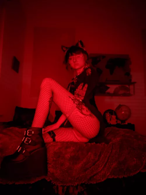 Please, just cause I'm a fox doesn't mean you're in control