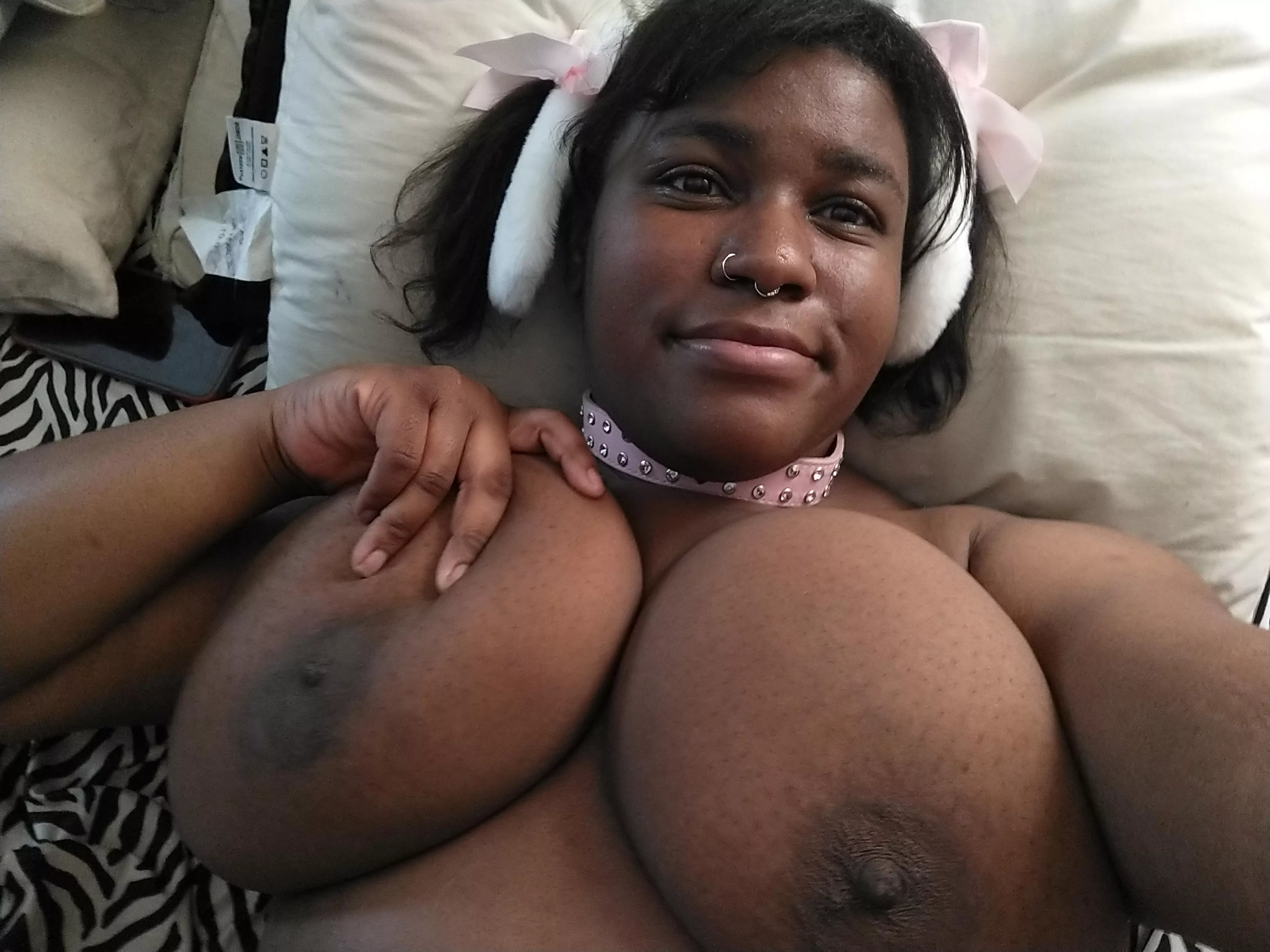 Please pet this soft bunny!