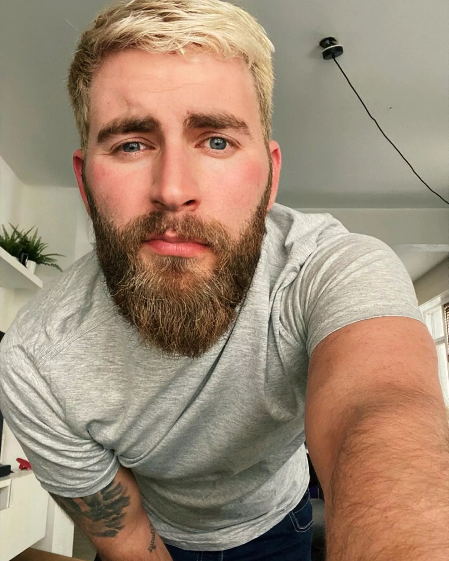 Please pretend this is a witty title