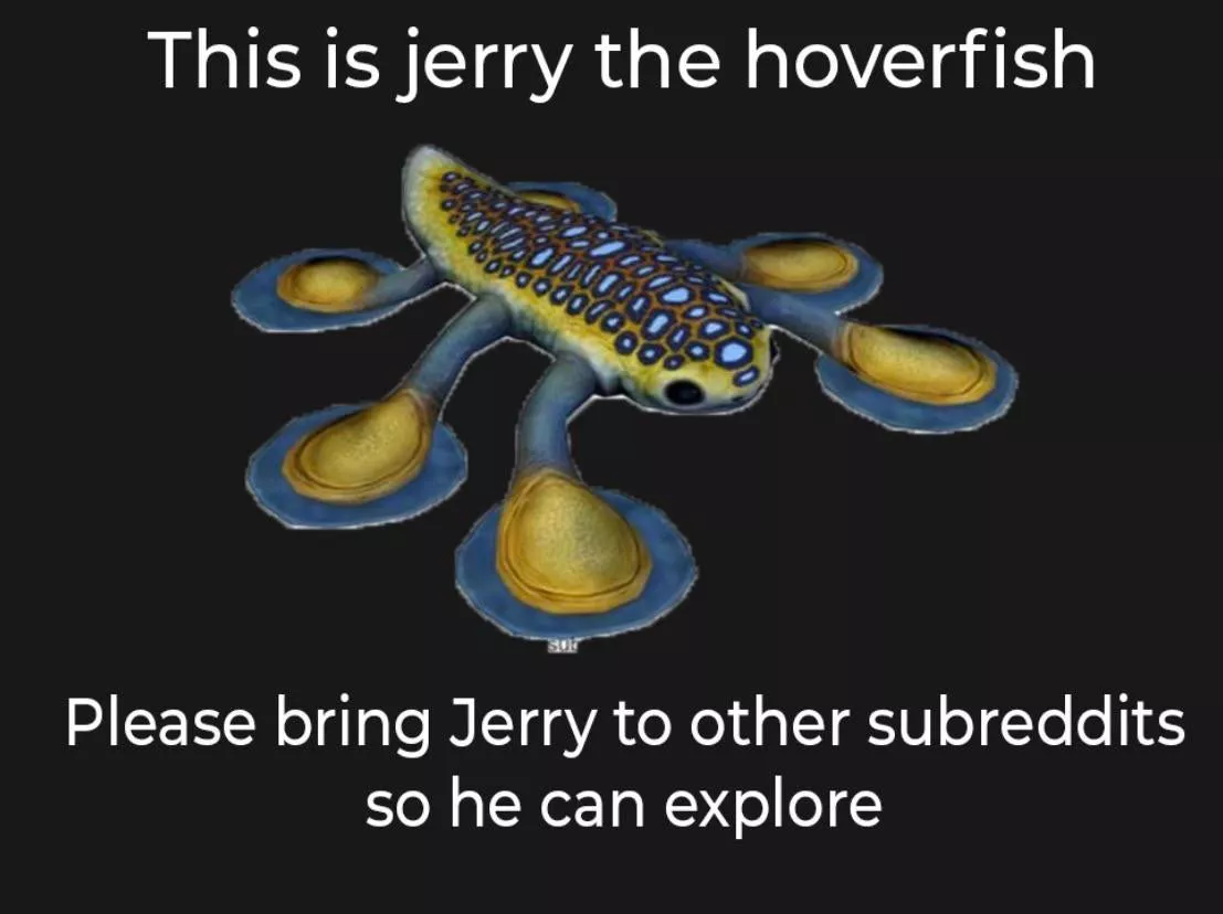 Pls don't delete Pls don't delete