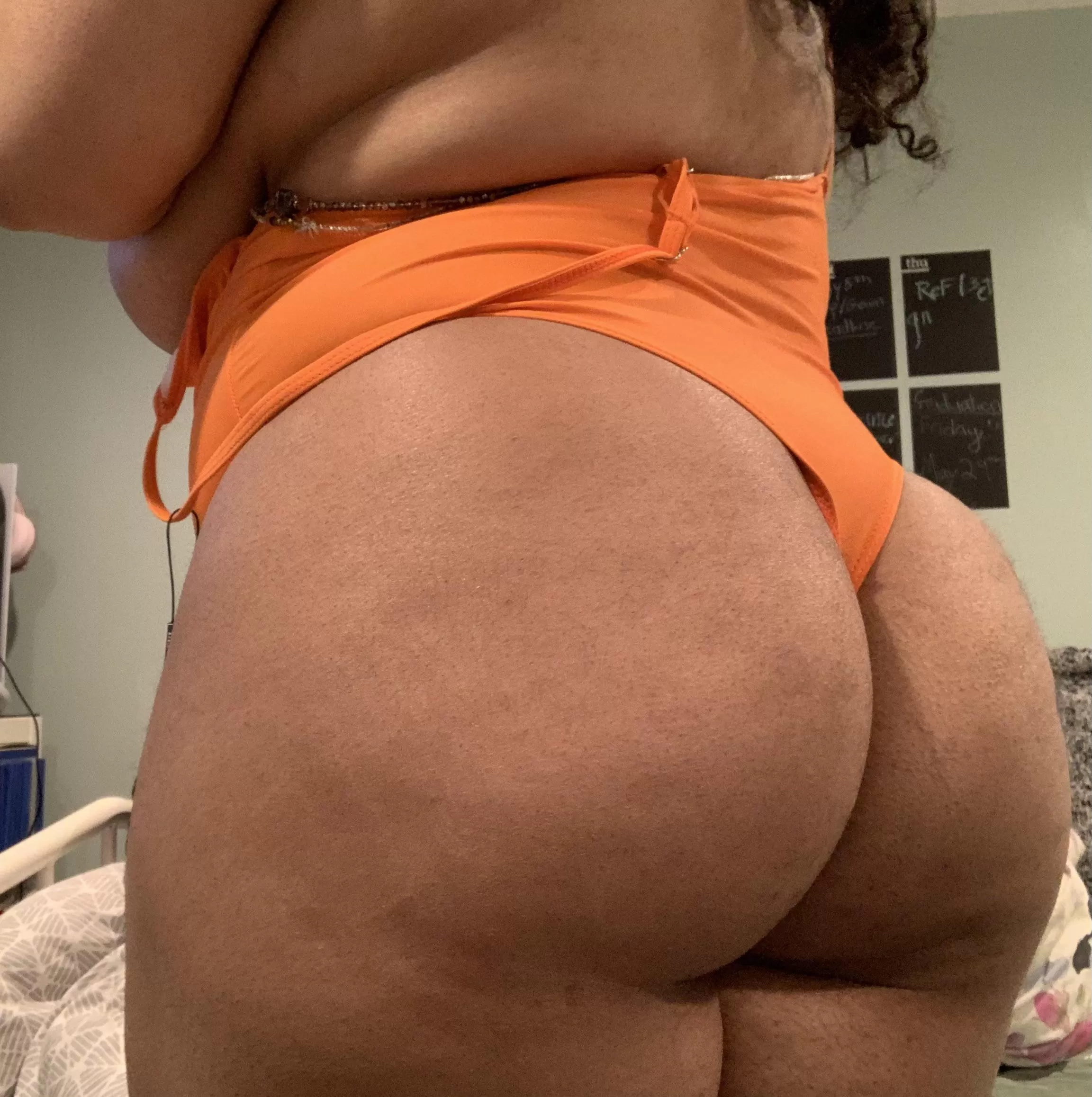 Plump in Orange 🍊