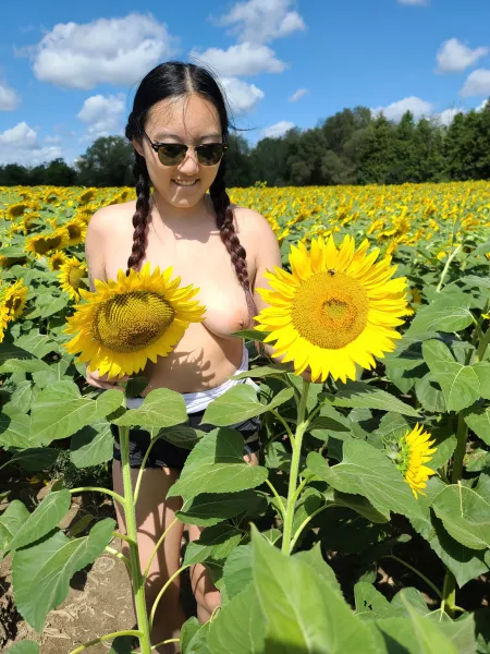 Pollinate me like a sunflower