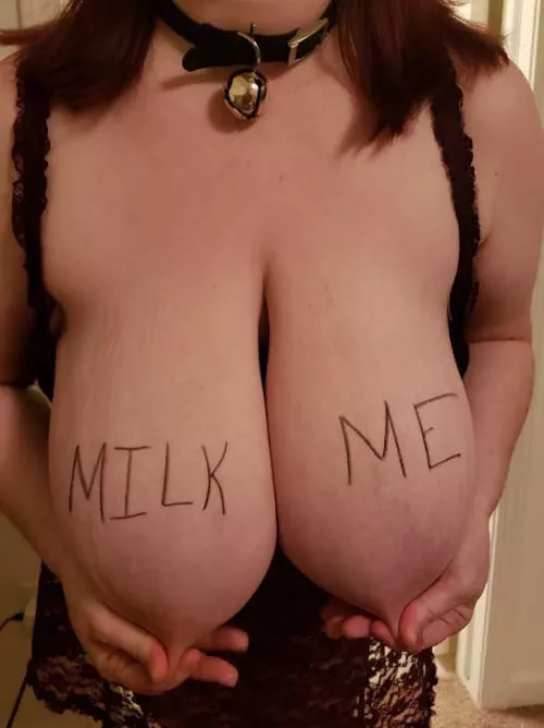 Poor J Cup HuCow Wants Nipple Attention