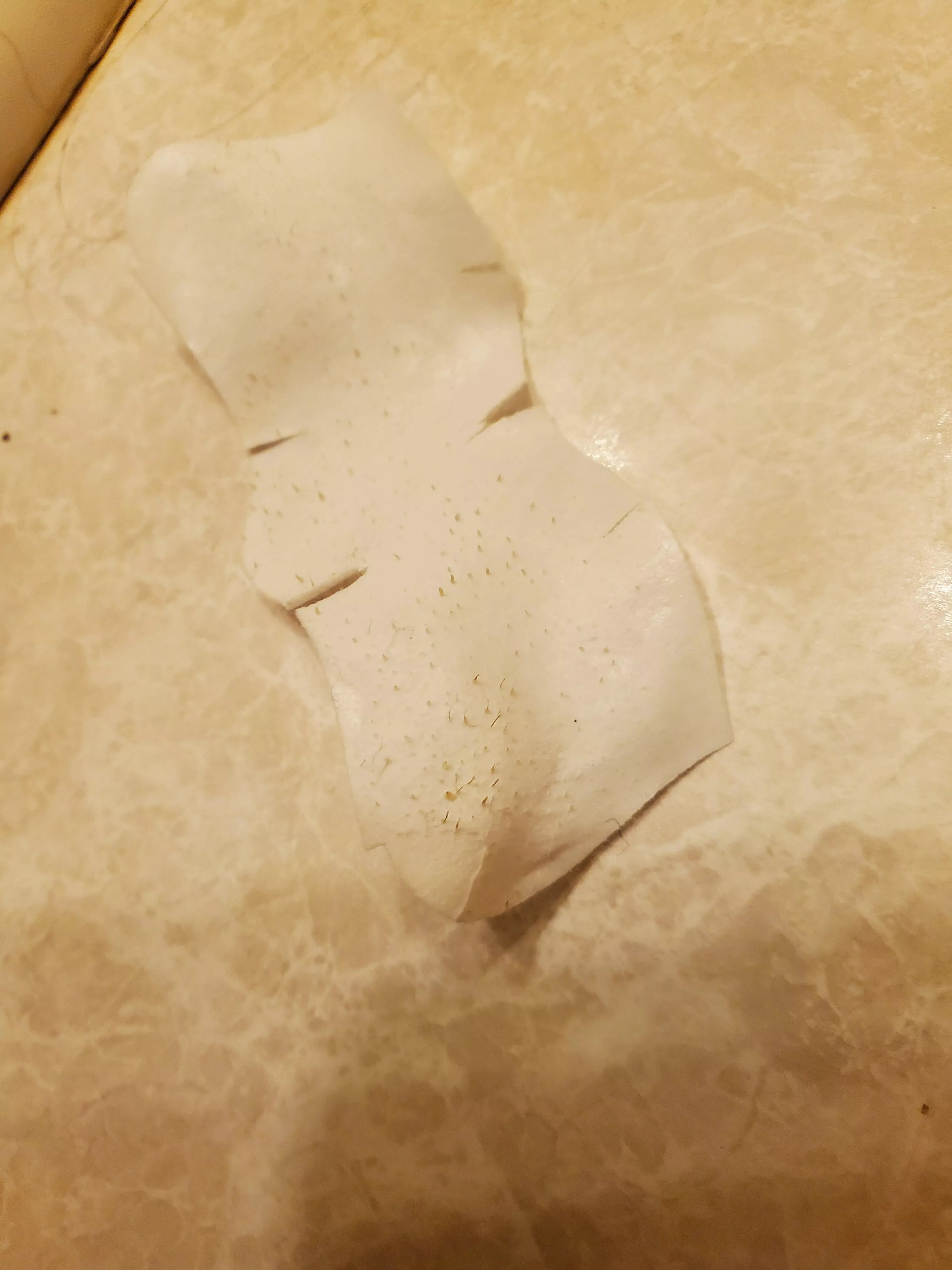 Pore strip I did. Girlfriend said you guys would like it.