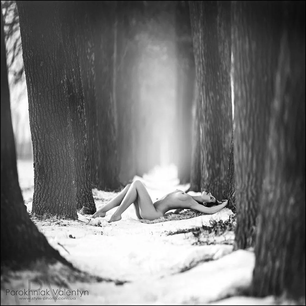 Porokhniak Valentyn (Photographer) Porokhniak Valentyn (Photographer)