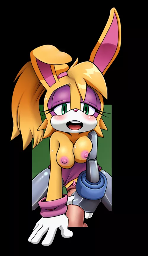 Posting best Sonic girl until the new game releases (day 12)