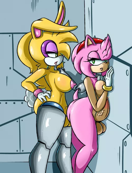 Posting best Sonic girl until the new game releases (Day 11)