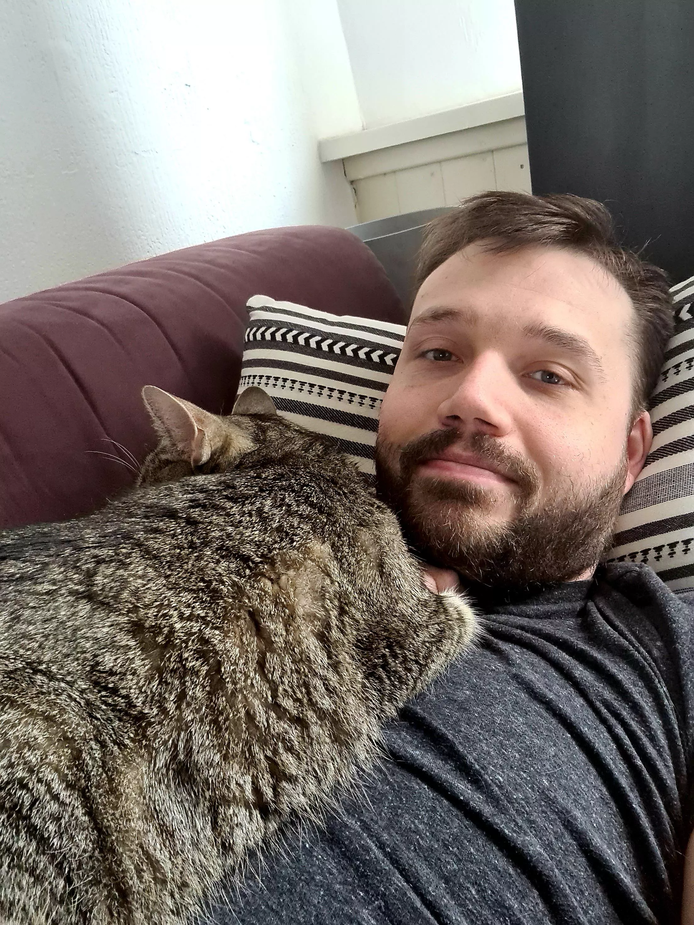 Post-lunch Nap over ... my cat isn't helping me get back to work Post-lunch Nap over ... my cat isn't helping me get back to work