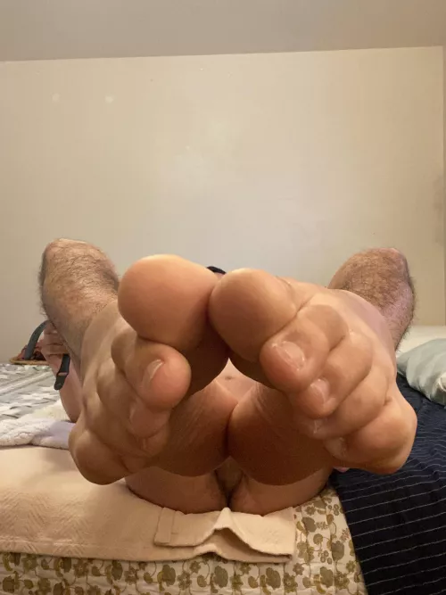 POV you begged to suck on my toes, and now Iām going to let you š